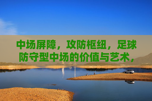 中场屏障，攻防枢纽，足球防守型中场的价值与艺术，中场屏障与攻防枢纽，防守型中场的价值与艺术