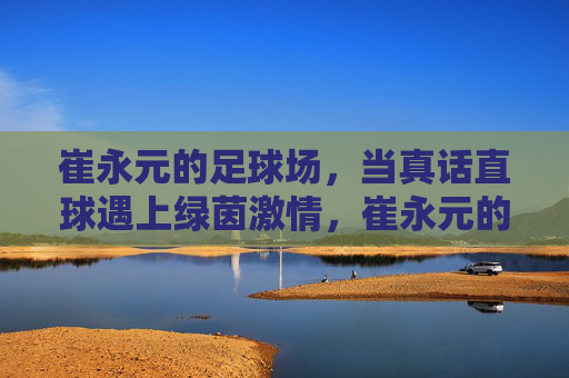 崔永元的足球场，当真话直球遇上绿茵激情，崔永元的足球场，真话直球遇上绿茵激情