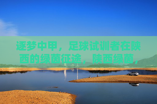 逐梦中甲，足球试训者在陕西的绿茵征途，陕西绿茵，中甲试训者的逐梦征途