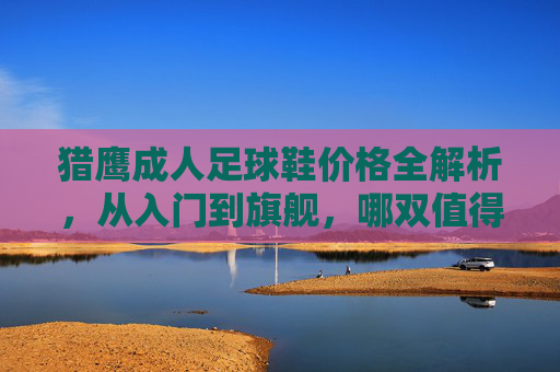 猎鹰成人足球鞋价格全解析，从入门到旗舰，哪双值得入手？猎鹰成人足球鞋价格全解析，入门到旗舰哪双值得入手？