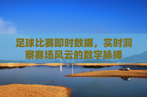 足球比赛即时数据，实时洞察赛场风云的数字脉搏
