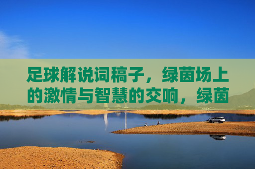 足球解说词稿子，绿茵场上的激情与智慧的交响，绿茵场，激情与智慧的足球交响