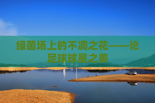 绿茵场上的不凋之花——论足球球星之美