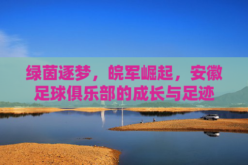 绿茵逐梦，皖军崛起，安徽足球俱乐部的成长与足迹