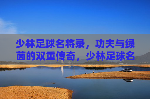 少林足球名将录，功夫与绿茵的双重传奇，少林足球名将录，功夫与绿茵的双重传奇