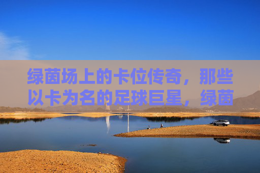 绿茵场上的卡位传奇,那些以卡为名的足球巨星,绿茵卡位传奇,以卡为名的足球巨星 绿茵场上的卡位传奇,那些以卡为名的足球巨星,绿茵卡位传奇,以卡为名的足球巨星