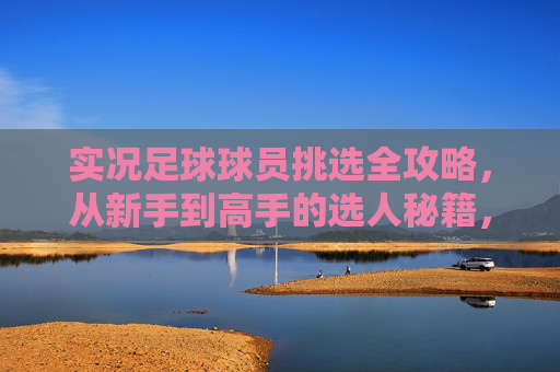 实况足球球员挑选全攻略，从新手到高手的选人秘籍，实况足球球员挑选全攻略，新手到高手的选人秘籍