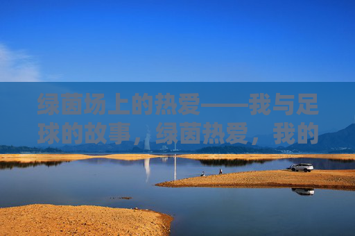 绿茵场上的热爱——我与足球的故事,绿茵热爱,我的足球故事 绿茵场上的热爱——我与足球的故事,绿茵热爱,我的足球故事