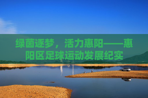 绿茵逐梦，活力惠阳——惠阳区足球运动发展纪实