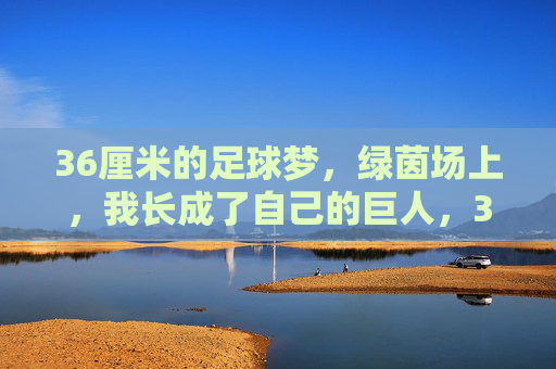 36厘米的足球梦,绿茵场上,我长成了自己的巨人,36厘米足球梦,我长成绿茵巨人 36厘米的足球梦,绿茵场上,我长成了自己的巨人,36厘米足球梦,我长成绿茵巨人