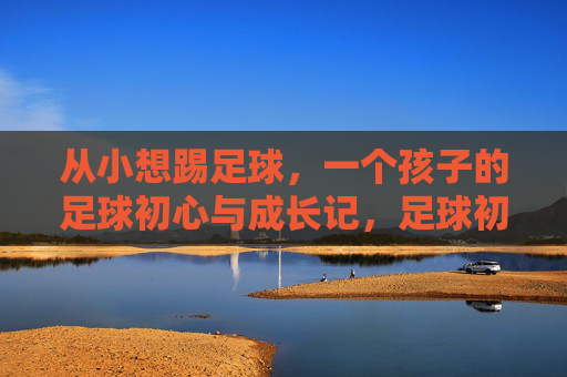 从小想踢足球,一个孩子的足球初心与成长记,足球初心与成长,一个孩子的逐梦记 从小想踢足球,一个孩子的足球初心与成长记,足球初心与成长,一个孩子的逐梦记