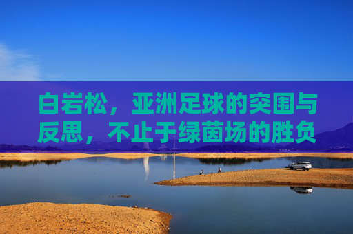 白岩松，亚洲足球的突围与反思，不止于绿茵场的胜负，亚洲足球的突围与反思，不止于绿茵场的胜负