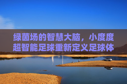 绿茵场的智慧大脑,小度度超智能足球重新定义足球体验,小度度超智能足球,绿茵场智慧,重定义足球体验 绿茵场的智慧大脑,小度度超智能足球重新定义足球体验,小度度超智能足球,绿茵场智慧,重定义足球体验
