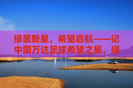 绿茵新星，希望启航——记中国万达足球希望之星，绿茵新星，希望启航——中国万达足球希望之星