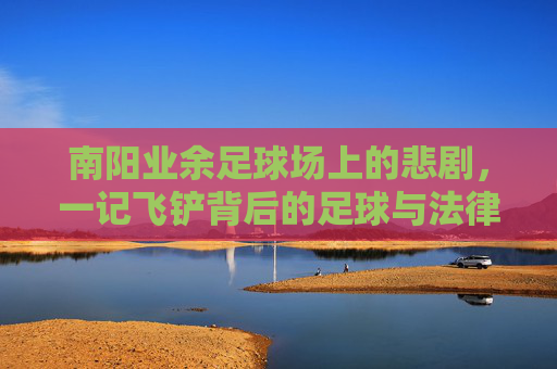 南阳业余足球场上的悲剧，一记飞铲背后的足球与法律之思