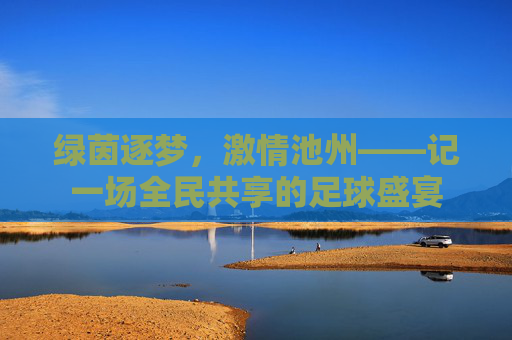 绿茵逐梦，激情池州——记一场全民共享的足球盛宴