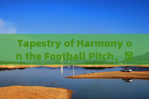 Tapestry of Harmony on the Football Pitch，足球场上的和谐织锦