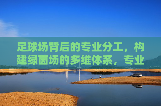 足球场背后的专业分工，构建绿茵场的多维体系，专业分工构建绿茵场多维体系