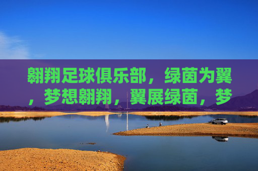 翱翔足球俱乐部，绿茵为翼，梦想翱翔，翼展绿茵，梦想翱翔