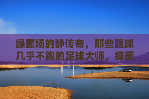 绿茵场的静传奇,那些踢球几乎不跑的足球大师,绿茵静传奇,踢球几乎不跑的足球大师 绿茵场的静传奇,那些踢球几乎不跑的足球大师,绿茵静传奇,踢球几乎不跑的足球大师