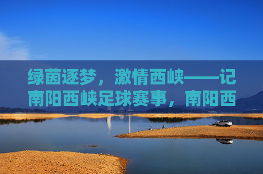 绿茵逐梦，激情西峡——记南阳西峡足球赛事，南阳西峡绿茵逐梦，足球激情飞扬