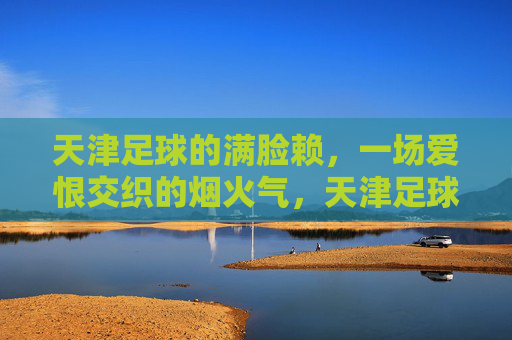 天津足球的满脸赖，一场爱恨交织的烟火气，天津足球的满脸赖，爱恨交织的烟火