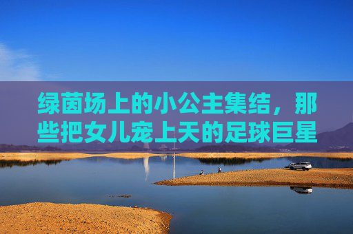 绿茵场上的小公主集结,那些把女儿宠上天的足球巨星,足球巨星的小公主集结,绿茵场上的宠爱时光 绿茵场上的小公主集结,那些把女儿宠上天的足球巨星,足球巨星的小公主集结,绿茵场上的宠爱时光