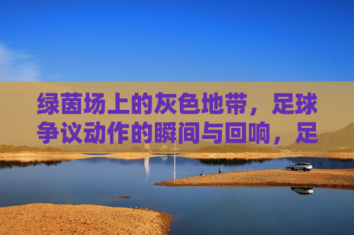 绿茵场上的灰色地带，足球争议动作的瞬间与回响，足球争议动作的灰色地带，瞬间与回响