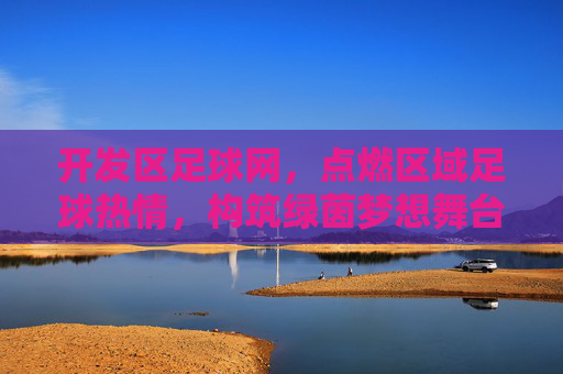 开发区足球网，点燃区域足球热情，构筑绿茵梦想舞台，开发区足球网，点燃区域热情，构筑绿茵梦想