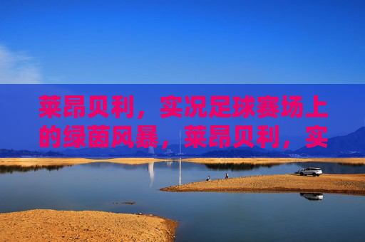 莱昂贝利,实况足球赛场上的绿茵风暴,莱昂贝利,实况足球绿茵风暴 莱昂贝利,实况足球赛场上的绿茵风暴,莱昂贝利,实况足球绿茵风暴