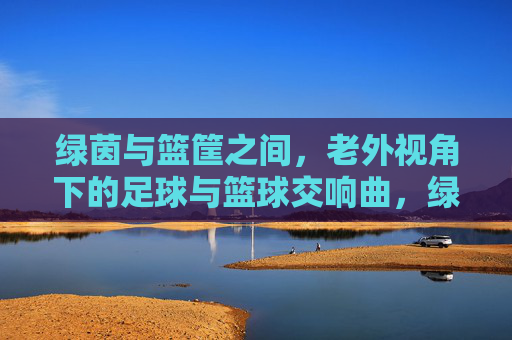 绿茵与篮筐之间,老外视角下的足球与篮球交响曲,绿茵篮筐间,老外视角下的足球篮球交响 绿茵与篮筐之间,老外视角下的足球与篮球交响曲,绿茵篮筐间,老外视角下的足球篮球交响
