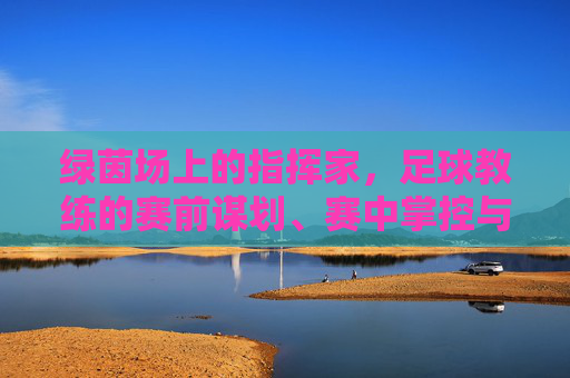 绿茵场上的指挥家，足球教练的赛前谋划、赛中掌控与赛后沉淀，绿茵指挥家，足球教练的赛前谋划、赛中掌控与赛后沉淀