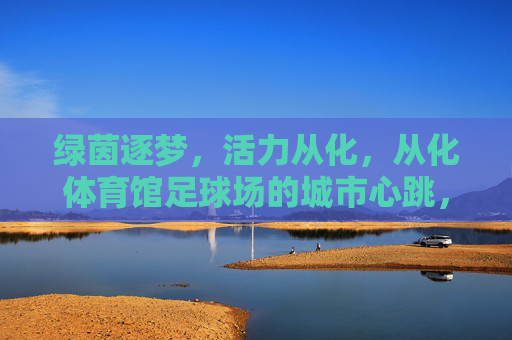 绿茵逐梦，活力从化，从化体育馆足球场的城市心跳，从化体育馆足球场，绿茵逐梦的城市心跳