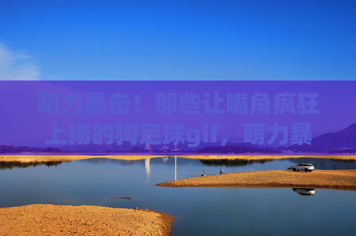 萌力暴击!那些让嘴角疯狂上扬的狗足球gif,萌力暴击!狗足球gif笑弯嘴角 萌力暴击!那些让嘴角疯狂上扬的狗足球gif,萌力暴击!狗足球gif笑弯嘴角
