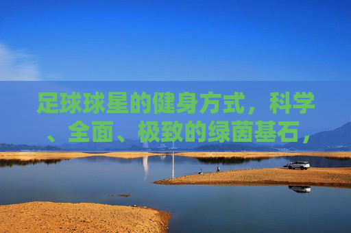 足球球星的健身方式，科学、全面、极致的绿茵基石，科学健身，足球球星的绿茵基石