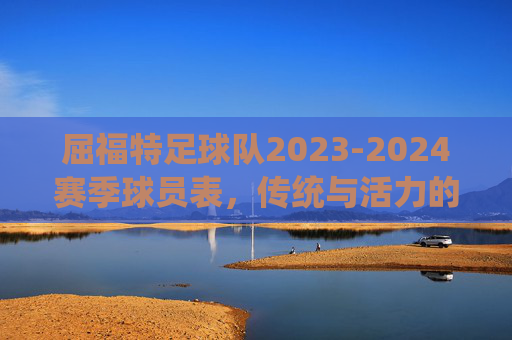 屈福特足球队2023-2024赛季球员表，传统与活力的交织
