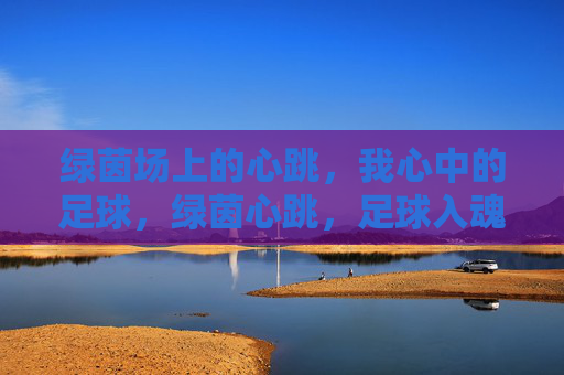 绿茵场上的心跳，我心中的足球，绿茵心跳，足球入魂