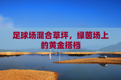 足球场混合草坪，绿茵场上的黄金搭档