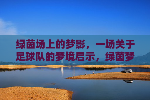 绿茵场上的梦影，一场关于足球队的梦境启示，绿茵梦影，足球队的启示