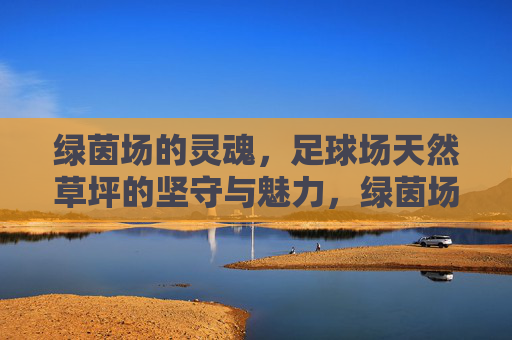 绿茵场的灵魂,足球场天然草坪的坚守与魅力,绿茵场灵魂,天然草坪的坚守与魅力 绿茵场的灵魂,足球场天然草坪的坚守与魅力,绿茵场灵魂,天然草坪的坚守与魅力
