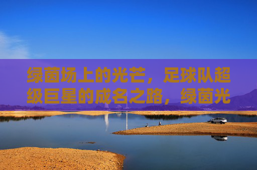 绿茵场上的光芒,足球队超级巨星的成名之路,绿茵光芒,超级巨星的成名之路 绿茵场上的光芒,足球队超级巨星的成名之路,绿茵光芒,超级巨星的成名之路