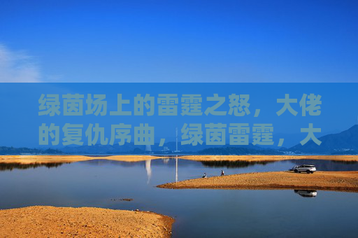 绿茵场上的雷霆之怒,大佬的复仇序曲,绿茵雷霆,大佬复仇序曲 绿茵场上的雷霆之怒,大佬的复仇序曲,绿茵雷霆,大佬复仇序曲