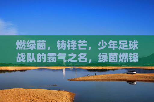 燃绿茵,铸锋芒,少年足球战队的霸气之名,绿茵燃锋芒,少年铸霸名 燃绿茵,铸锋芒,少年足球战队的霸气之名,绿茵燃锋芒,少年铸霸名