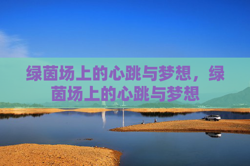 绿茵场上的心跳与梦想,绿茵场上的心跳与梦想 绿茵场上的心跳与梦想,绿茵场上的心跳与梦想