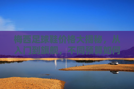 梅西足球鞋价格大揭秘，从入门到旗舰，不同预算如何选？梅西足球鞋价格选购攻略，从入门到旗舰，不同预算如何选？