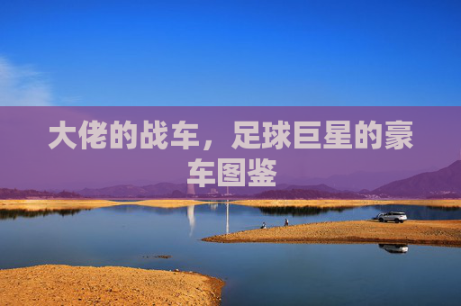 大佬的战车，足球巨星的豪车图鉴