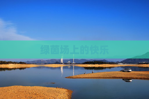 绿茵场上的快乐