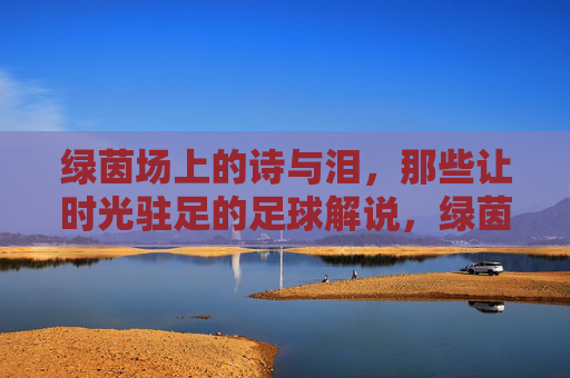 绿茵场上的诗与泪，那些让时光驻足的足球解说，绿茵诗泪，时光驻足的足球解说