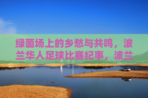 绿茵场上的乡愁与共鸣，波兰华人足球比赛纪事，波兰华人足球，绿茵场上的乡愁与共鸣