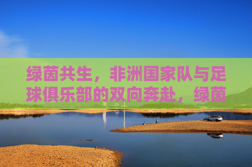 绿茵共生,非洲国家队与足球俱乐部的双向奔赴,绿茵共生,非洲国家队与足球俱乐部的双向奔赴 绿茵共生,非洲国家队与足球俱乐部的双向奔赴,绿茵共生,非洲国家队与足球俱乐部的双向奔赴